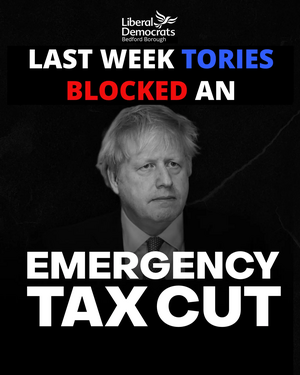 Image courtesy of Liberal Democrats Liberal Democrats VAT Cut Vote